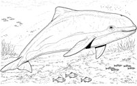 AAB50029.TIF