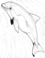 AAB50027.TIF