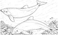 AAB50019.TIF