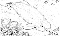 AAB50006.TIF