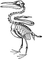 ABO50356.JPG