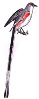 ABO50355.JPG