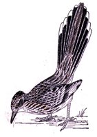 ABO50353.JPG