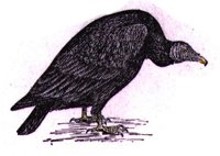 ABO50352.JPG
