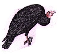 ABO50351.JPG