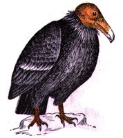 ABO50350.JPG