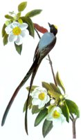 ABO50348.JPG