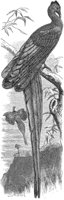 ABO50296.JPG