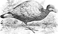 ABO50294.JPG