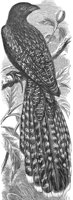 ABO50292.JPG