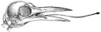 ABO50289.JPG