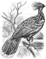 ABO50287.JPG