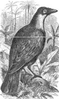 ABO50282.JPG