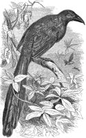 ABO50281.JPG
