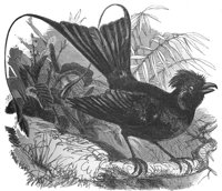 ABO50279.JPG