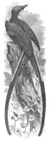 ABO50278.JPG