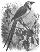 ABO50277.JPG