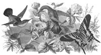 ABO50276.JPG
