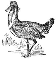 ABO50263.JPG