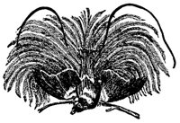 ABO50260.JPG