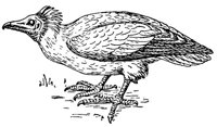 ABO50255.JPG