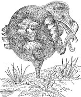 ABO50251.JPG