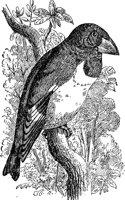 ABO50249.JPG