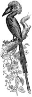 ABO50239.JPG