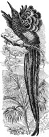 ABO50234.JPG