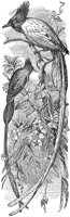 ABO50231.JPG