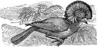 ABO50228.JPG