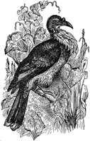ABO50226.JPG