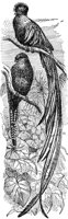 ABO50221.JPG