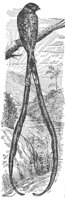 ABO50220.JPG