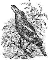 ABO50214.JPG