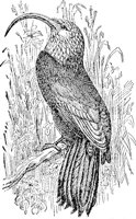 ABO50213.JPG