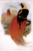ABO50190.JPG