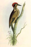 ABO50183.JPG