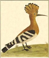 ABO50177.JPG