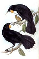 ABO50173.JPG