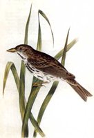ABO50167.JPG