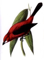 ABO50166.JPG