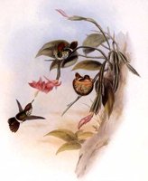 ABO50153.JPG