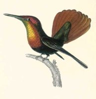 ABO50149.JPG