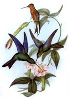 ABO50148.JPG