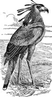 ABO50119.JPG