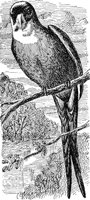 ABO50118.JPG