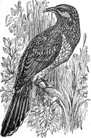 ABO50117.JPG