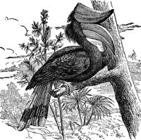 ABO50112.JPG