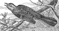 ABO50096.JPG